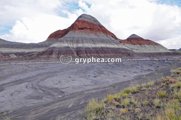 erosion en terrain argileux - gryphea.com